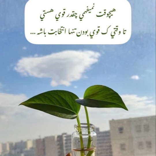 دانلود آهنگ تا یکی میفهمه مرتضی پاشایی از فارس ترانه